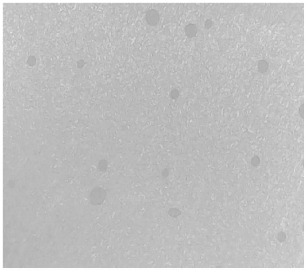 PMMA coating slurry, PMMA composite coating diaphragm and preparation method thereof