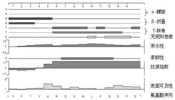 TRPC3 (Transient receptor potential cation channel, subfamily C, member 3) antigen peptide and anti-TRPC3 monoclonal antibody