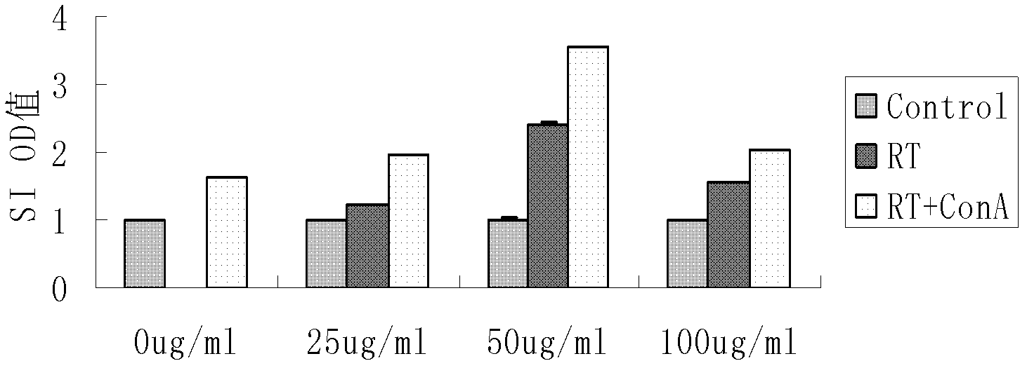 Novel application of ricin B chain protein in immunoloregulation