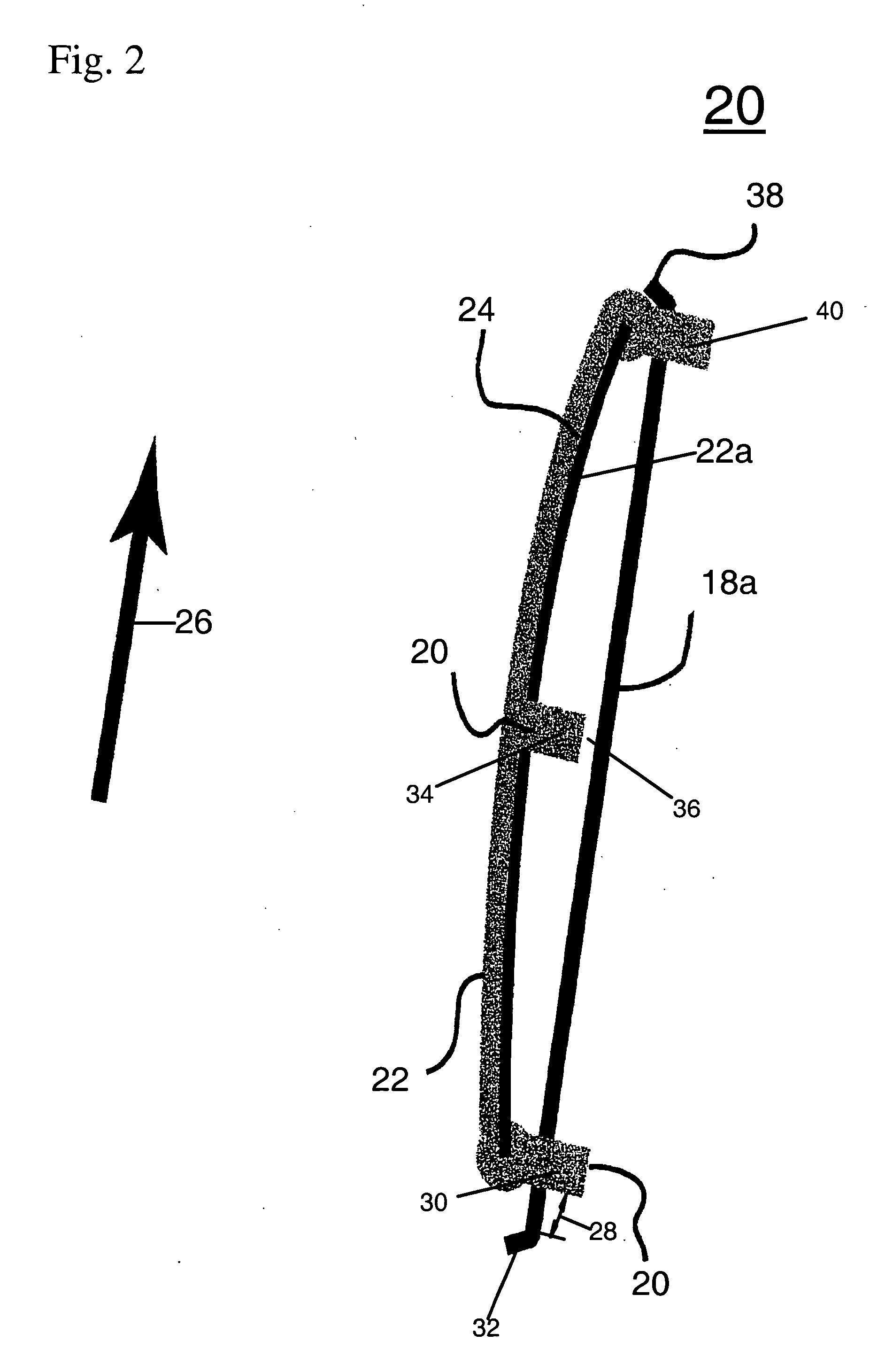 Compliant chain guide with blade spring