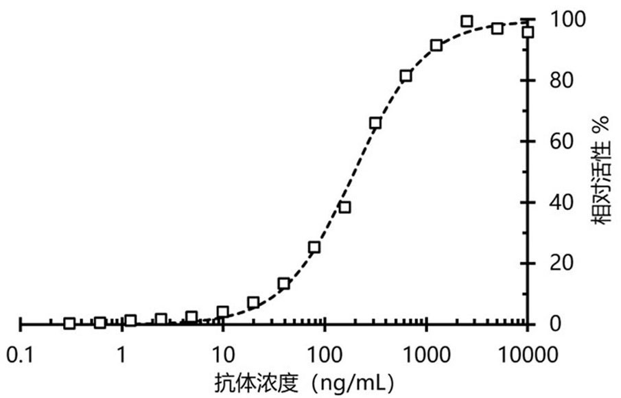 Nanometer antibody targeting rotavirus protein and application thereof