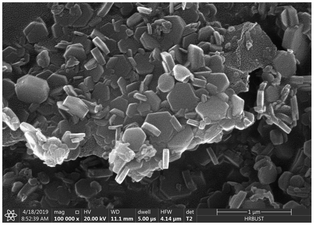 A kind of magnesium hydroxide/graphene flake composite flame retardant and preparation method thereof