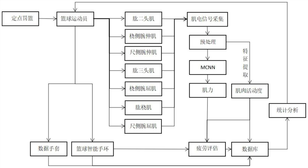 Training method for improving shooting hit rate of basketball player