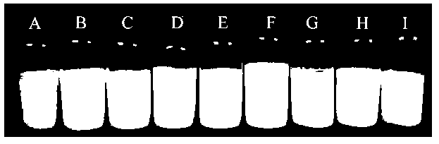 Preparation method for nano-emulsion with stable polymers