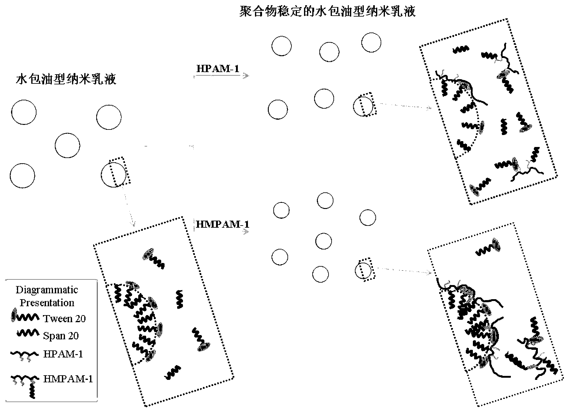 Preparation method for nano-emulsion with stable polymers