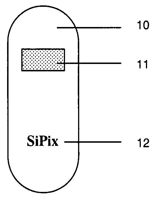 In mold manufacture of an object with embedded display panel