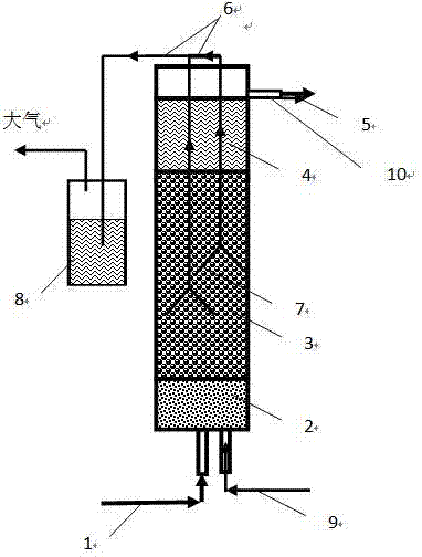 Mixed nutritional type denitrifying filler and preparation and application thereof