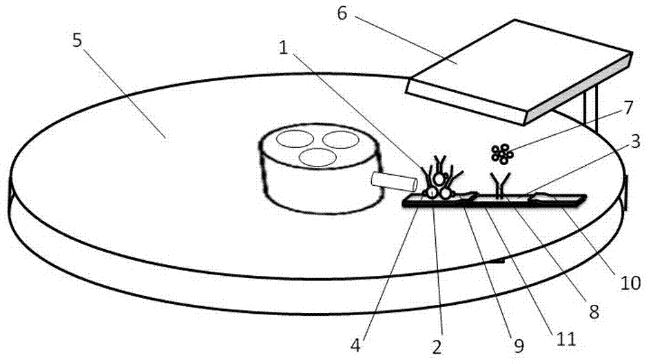 Paper-chromatography chemiluminescent detection method