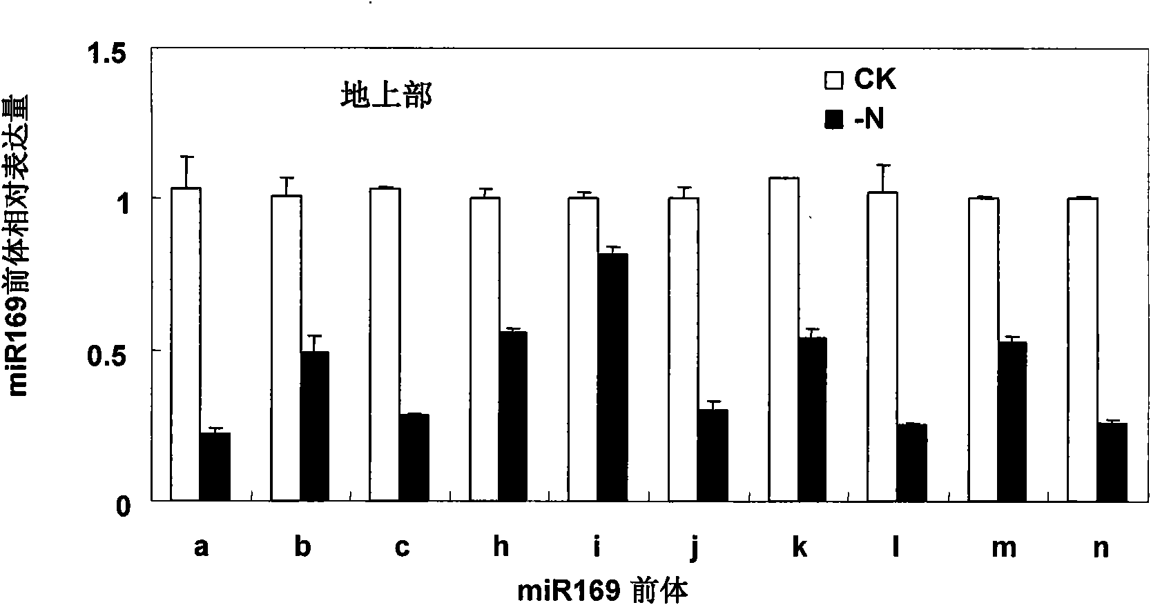 Application of miR169 or target genes NFYA5 thereof in nitrogen stress adaptation of plants