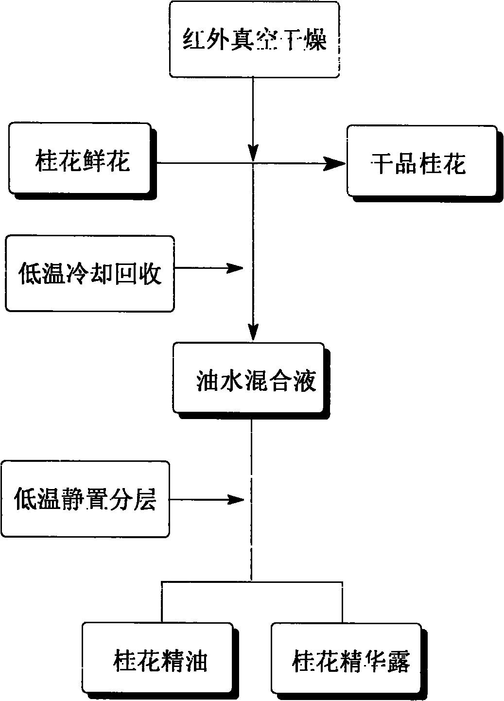 Method for simultaneously preparing osmanthus essential oil, dry osmanthus product and osmanthus essential lotion