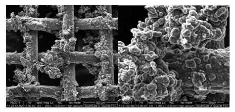 Method for preparing polypyrrole/graphene composite film material