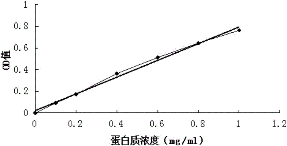 Preparation method of mulberry protein active peptide