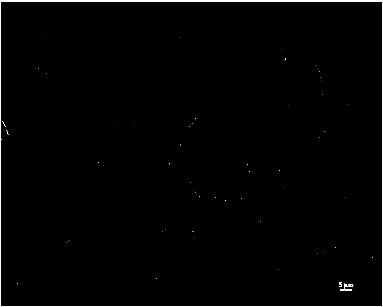 Bacillus polymyxa DYr4.4 with broad spectrum antibacterial activity and preparation method and application