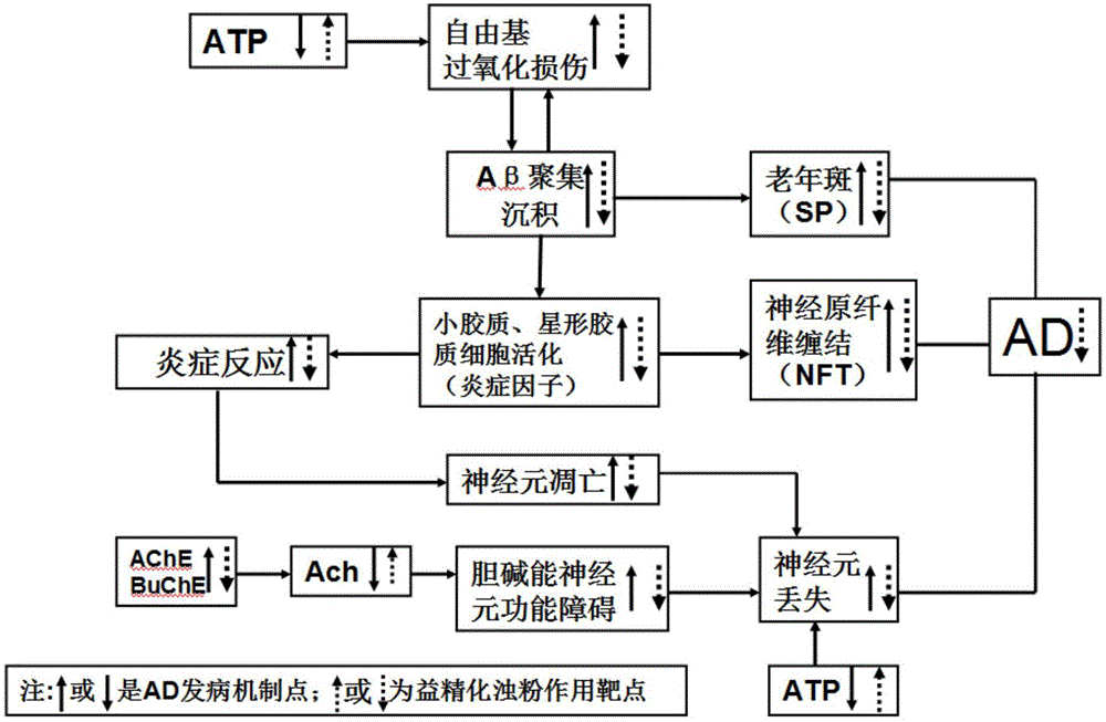 Pharmaceutical composition for treating alzheimer disease