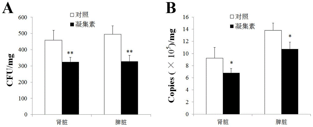 Application of C-type lectin