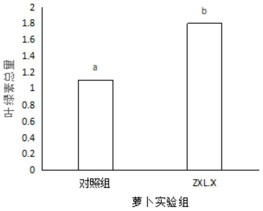 Chlorella pyrenoidosa, biological environment restoration liquid prepared therefrom and application of chlorella pyrenoidos