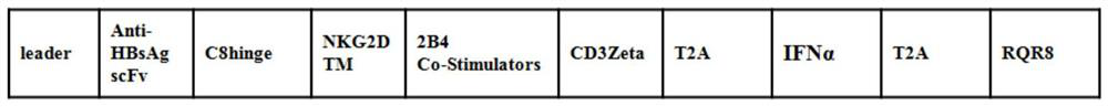 Chimeric antigen receptor, its preparation method, nk cell modified by using it and its application in treating hbv infection