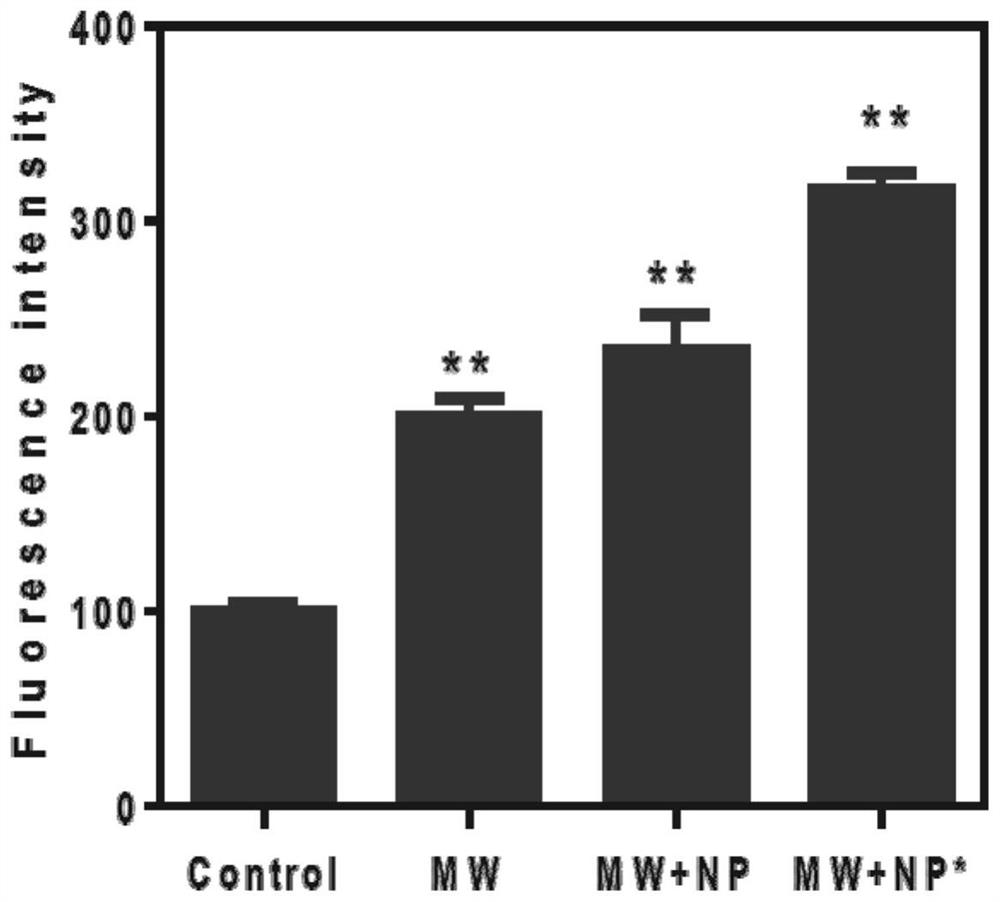 A kind of microwave sensitization composite nanoparticle and its preparation method and application