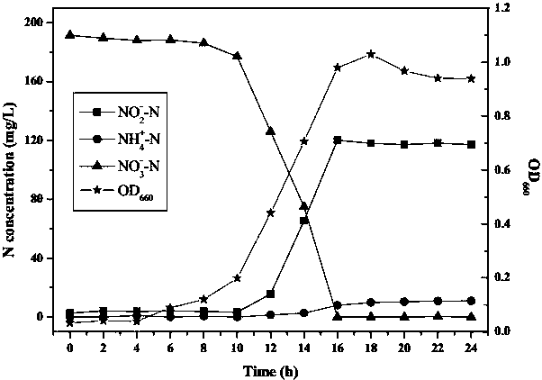 Aerobic denitrification bacterium ZJ-17 and application thereof