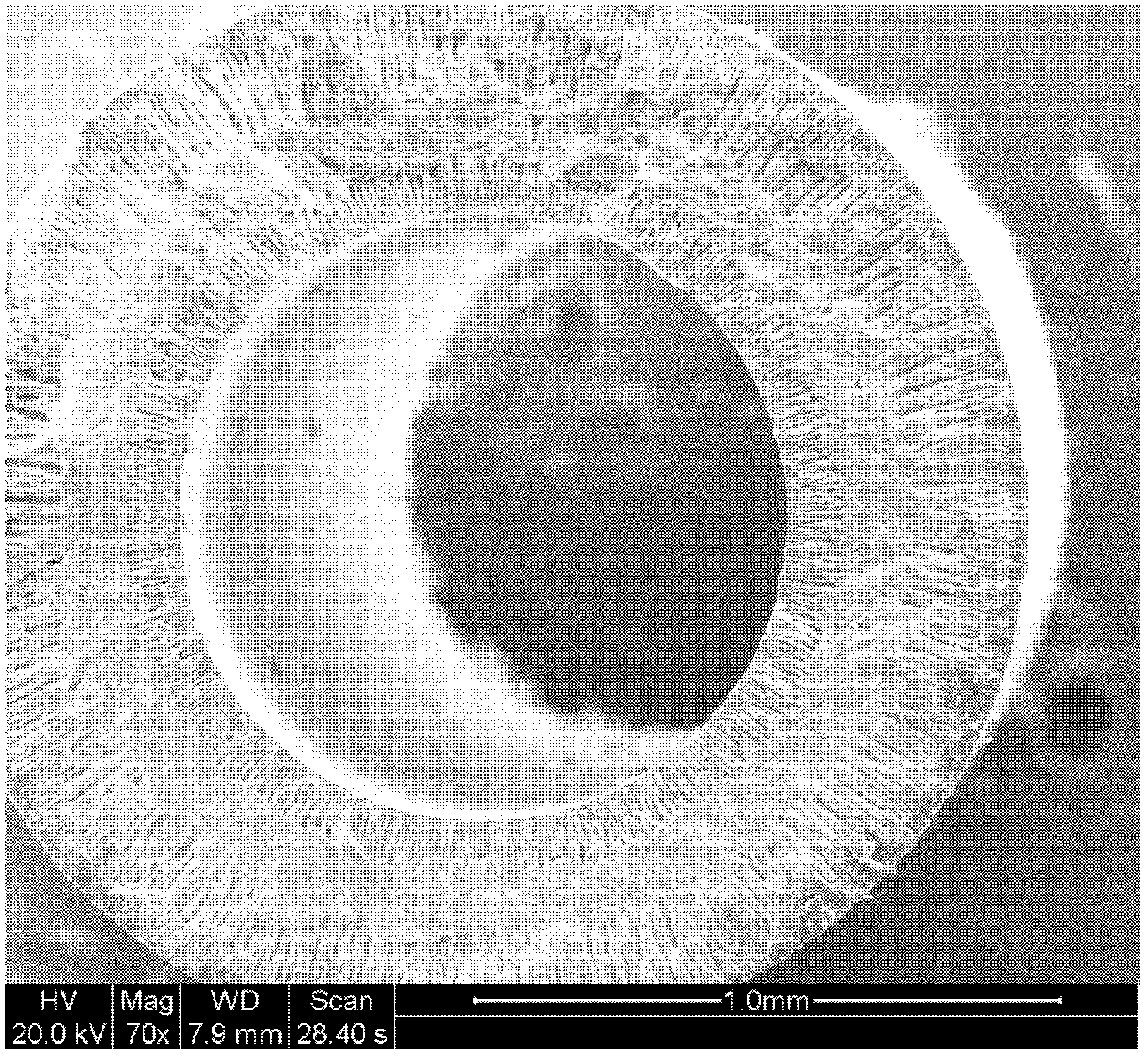 Preparation method for organic and inorganic hollow fiber composite membrane