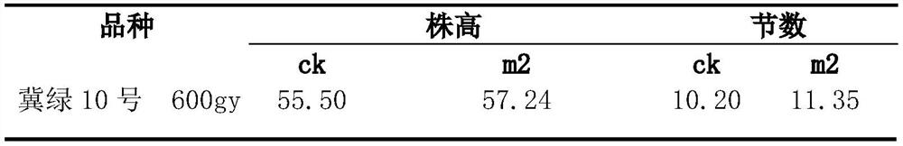 Method for creating plant-type variant through &lt;60&gt;Co-gamma ray radiation