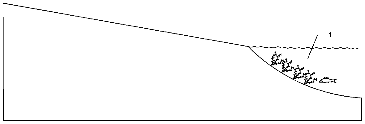 Lakeside zone for intercepting and purifying non-point source pollution and construction method thereof