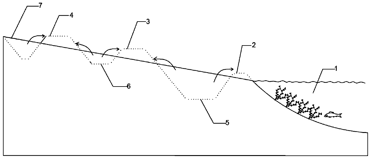 Lakeside zone for intercepting and purifying non-point source pollution and construction method thereof