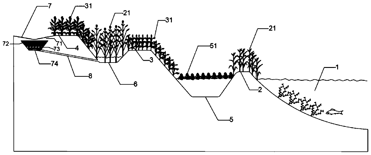 Lakeside zone for intercepting and purifying non-point source pollution and construction method thereof