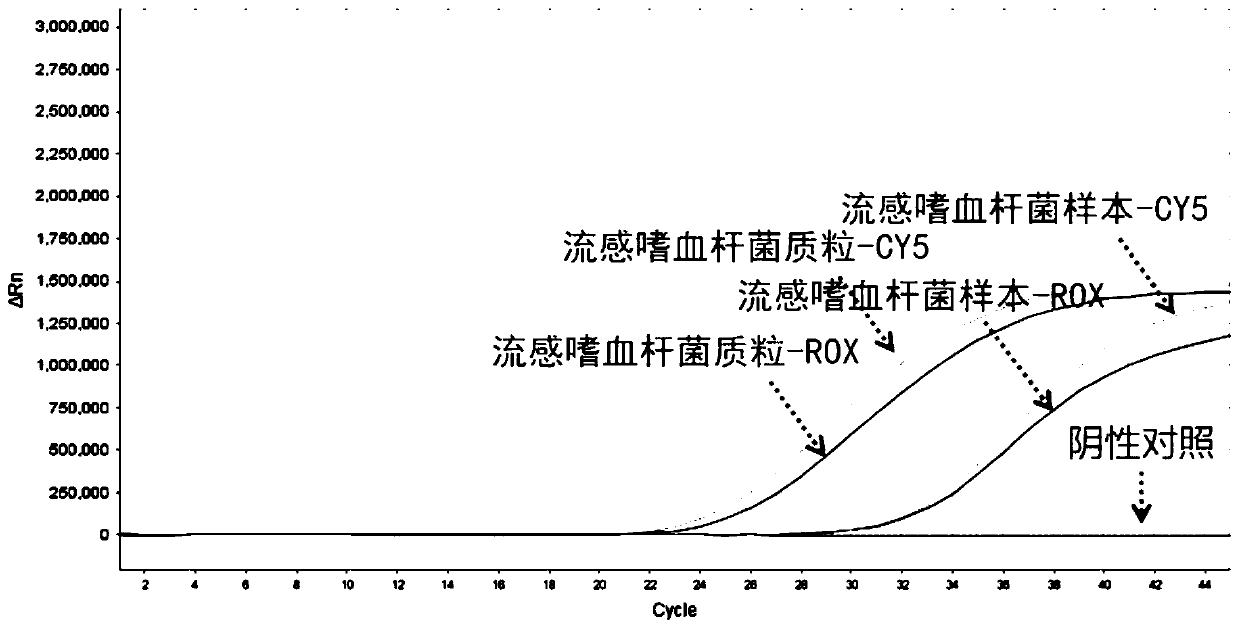 Nucleic acid typing detection kit for encephalitis and meningitis and detection method