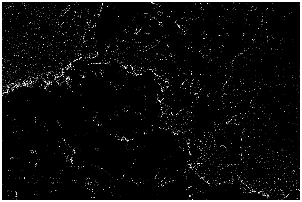 Binary metal oxide composite carbon nitride catalyst, preparation method and applications thereof