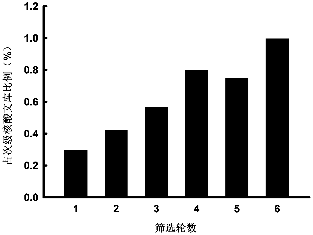 Aptamer with xanthine oxidase inhibitory activity and application thereof