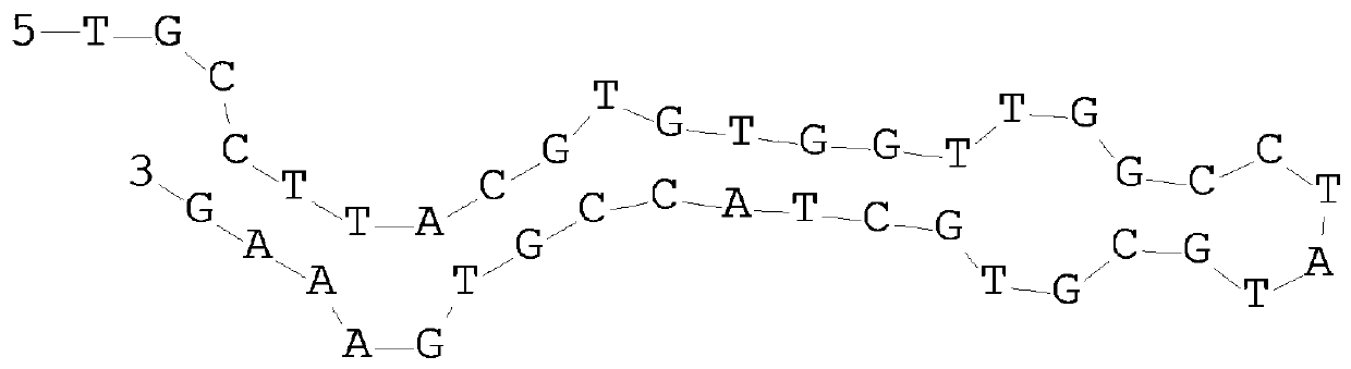 Aptamer with xanthine oxidase inhibitory activity and application thereof