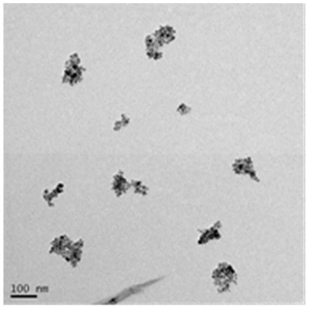 A kind of magnetic composite nanomaterial and its preparation method and application