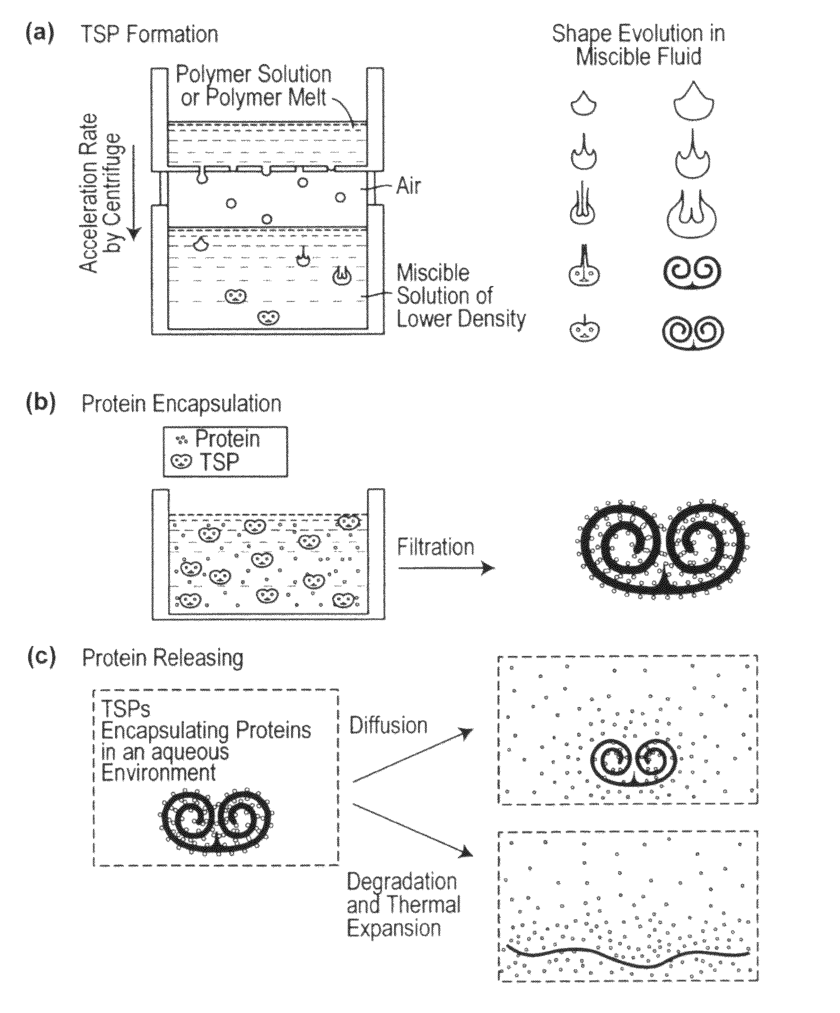 Self-assembled toroidal-spiral particles and manufacture and uses thereof