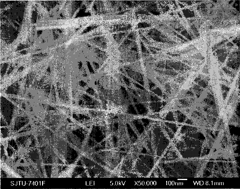 Method for preparing manganese dioxide one-dimensional nanometer material