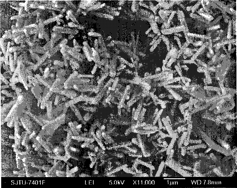 Method for preparing manganese dioxide one-dimensional nanometer material