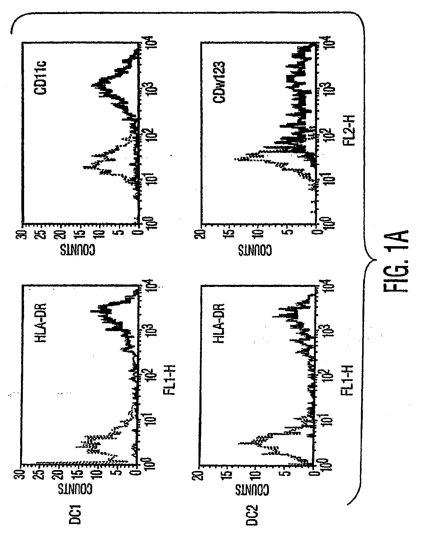 Mesenchymal stem cells and uses therefor