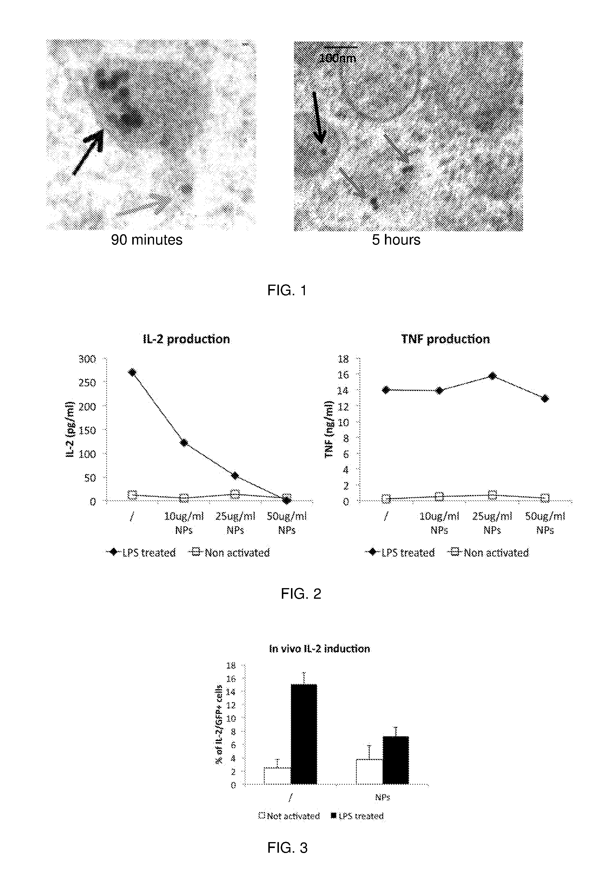 Nanoconstructs with pharmacological activity