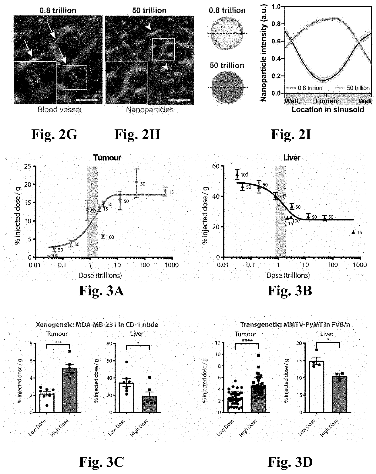 Nanoparticle delivery to a target tissue