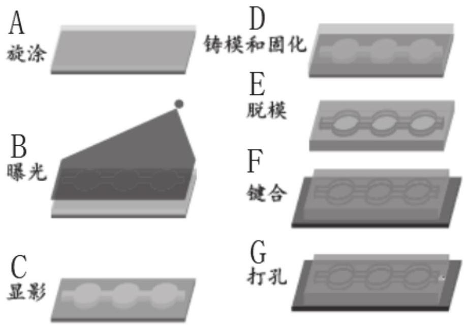 In-vivo-like heart organ chip and method