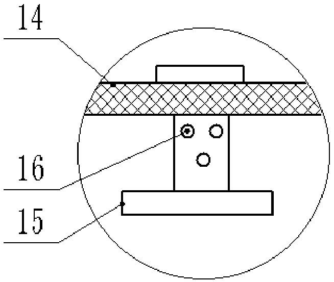 Rhizoma paridis cultivation method