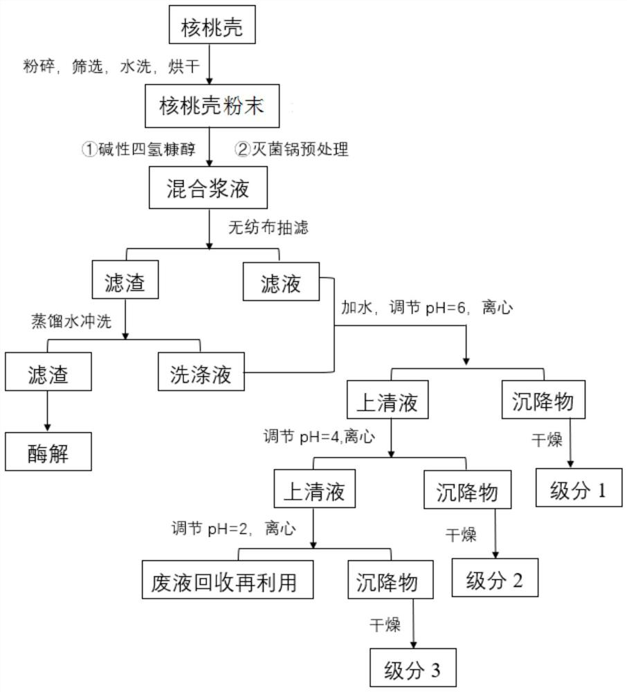 Method for extracting low-molecular-weight lignin from walnut shells through graded sedimentation of alkaline tetrahydrofurfuryl alcohol