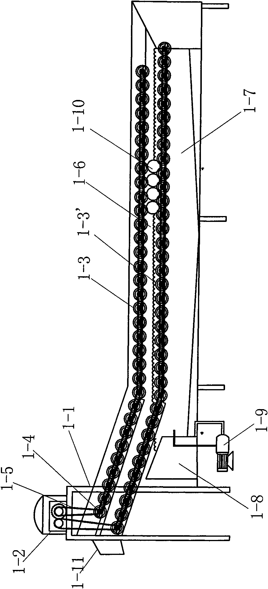 Honey pomelo preserved fruit production line