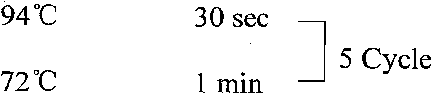 Chitinasesn gene by Paecilomyces lilacinus and clone method thereof