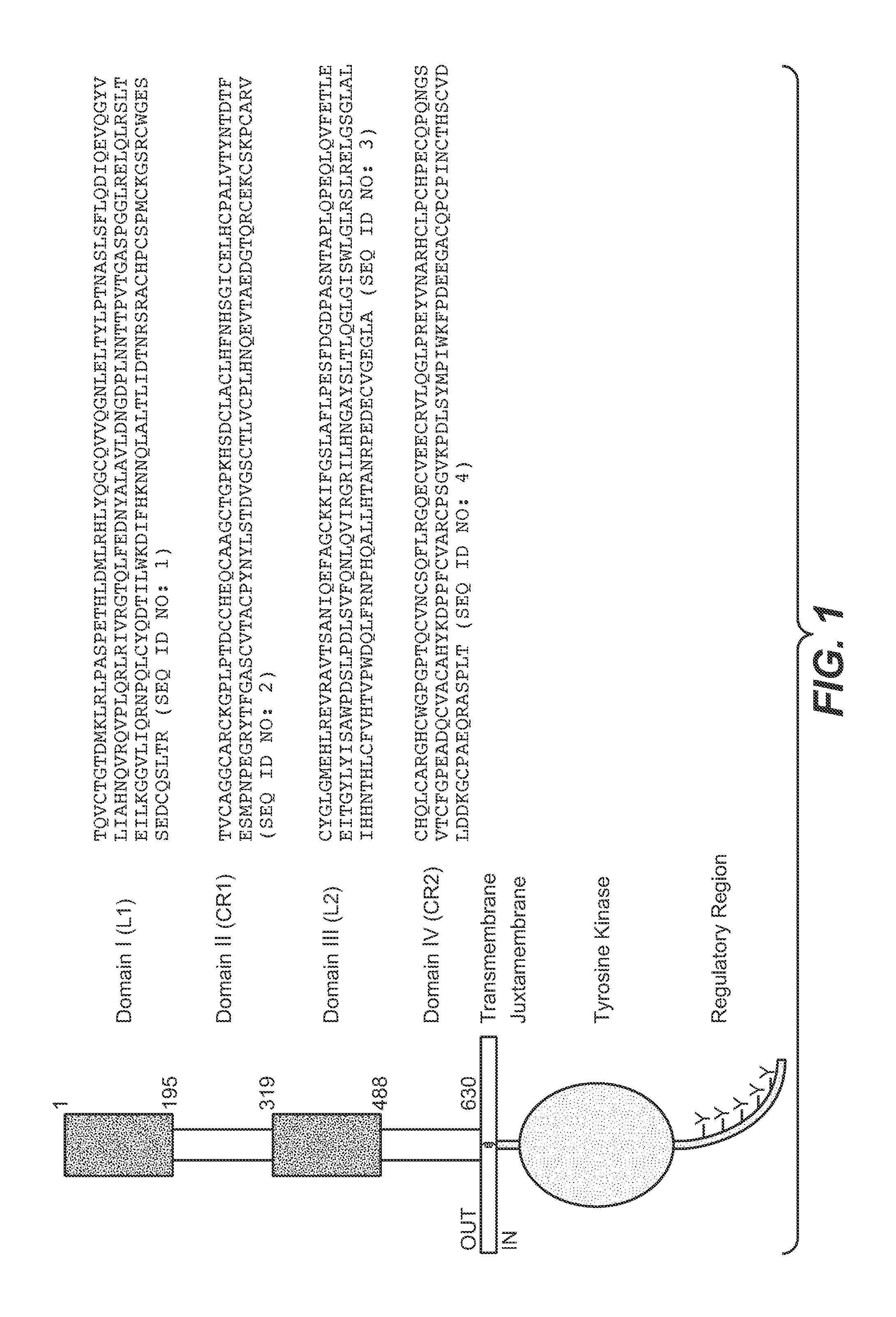 Uses for and article of manufacture including her2 dimerization inhibitor pertuzumab