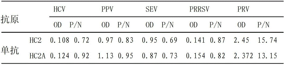 Porcine pseudorabies virus resisting hybridoma cell line, preparation method thereof, monoclonal antibody and application thereof