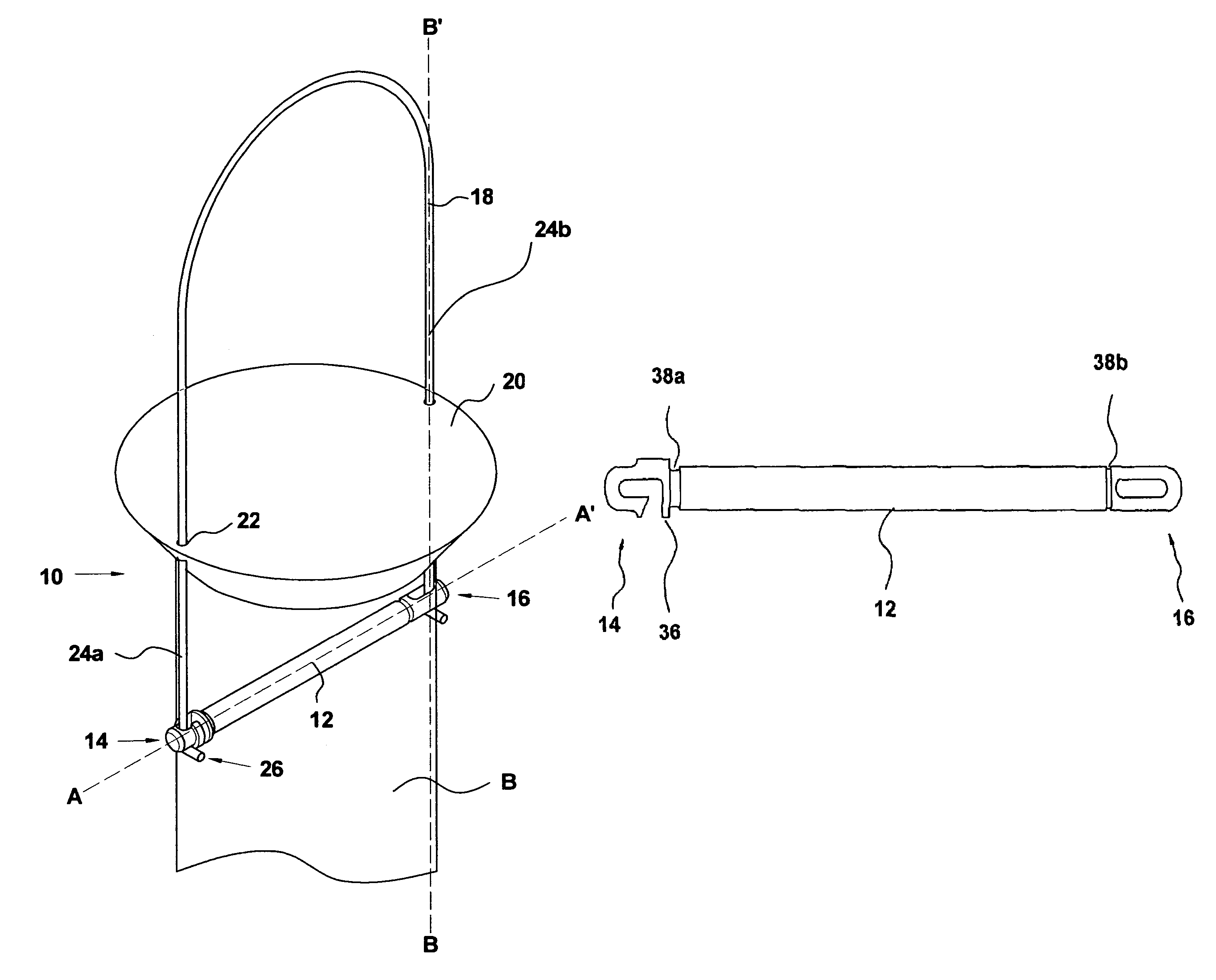 Bird feeding apparatus