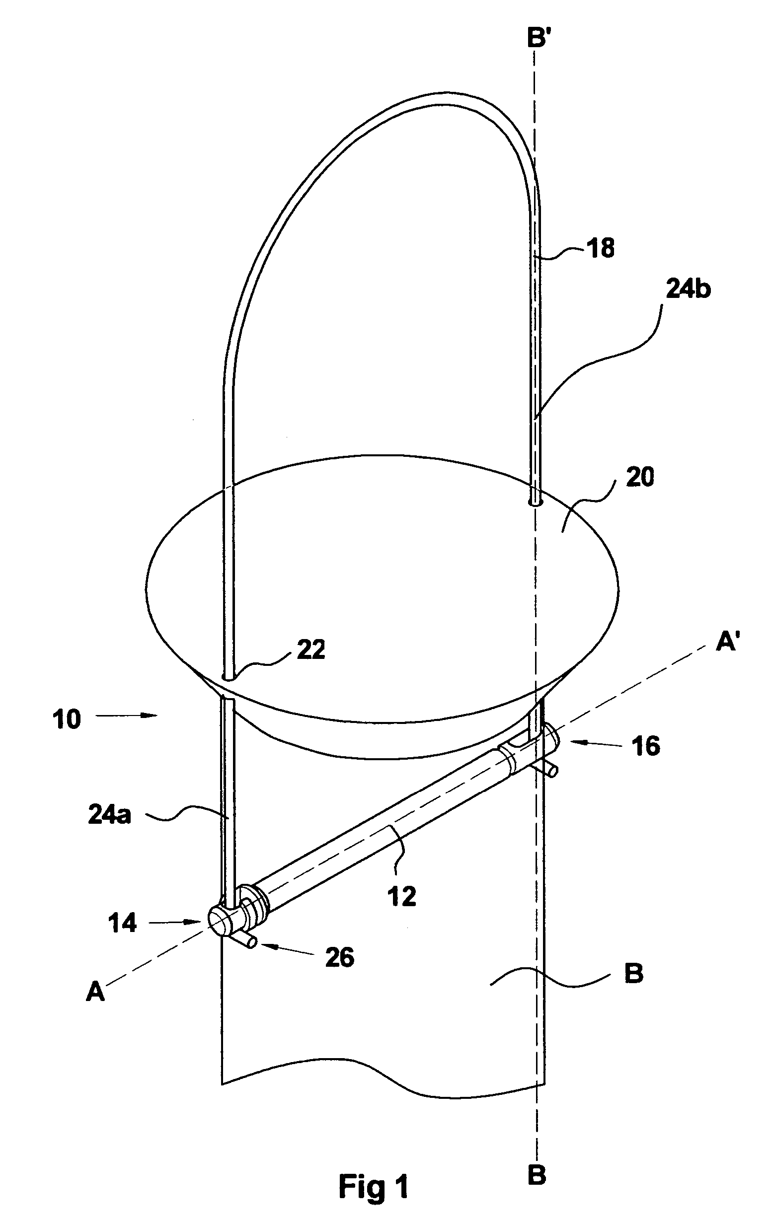 Bird feeding apparatus