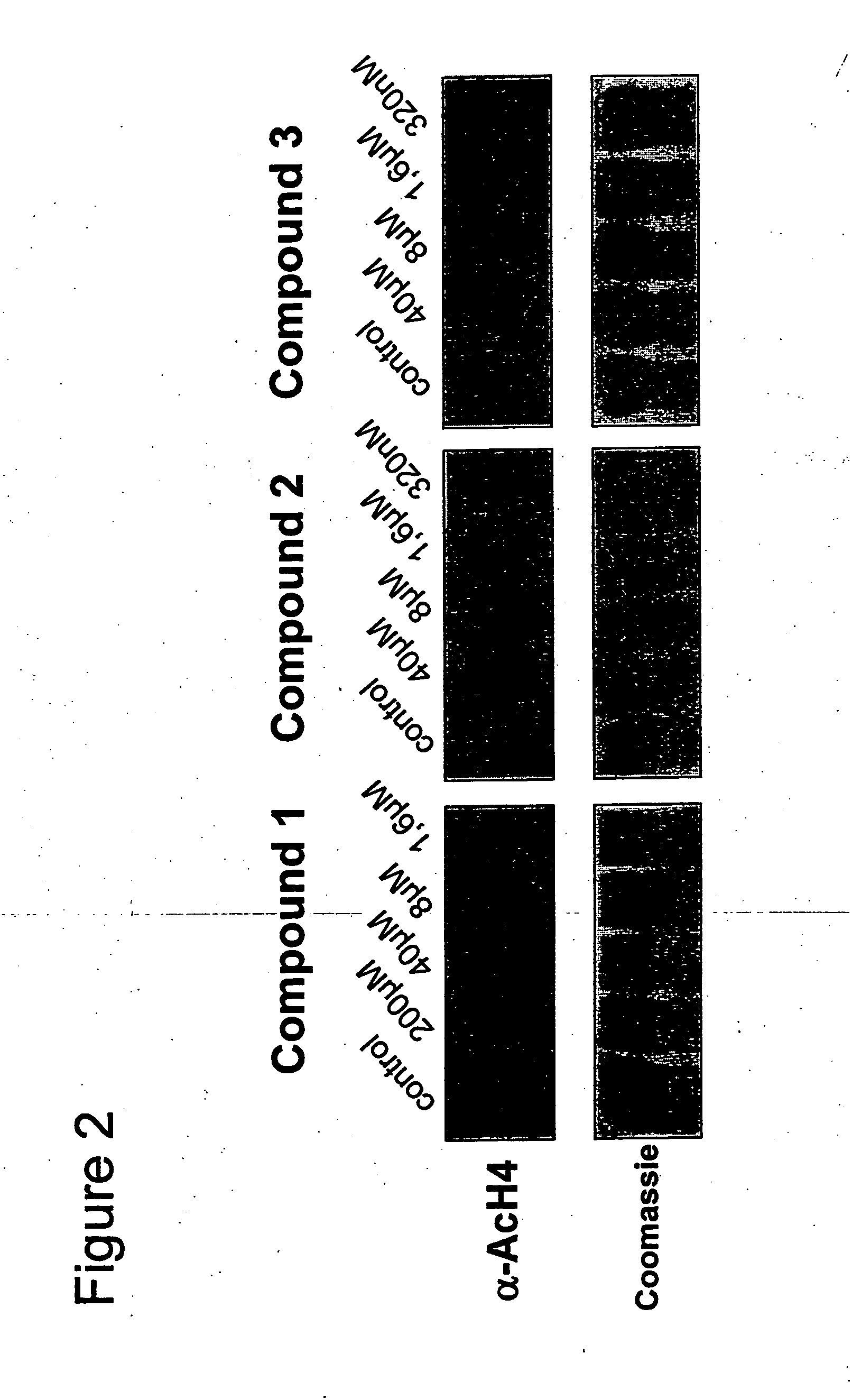 Novel compounds as histone deacetylase inhibitors