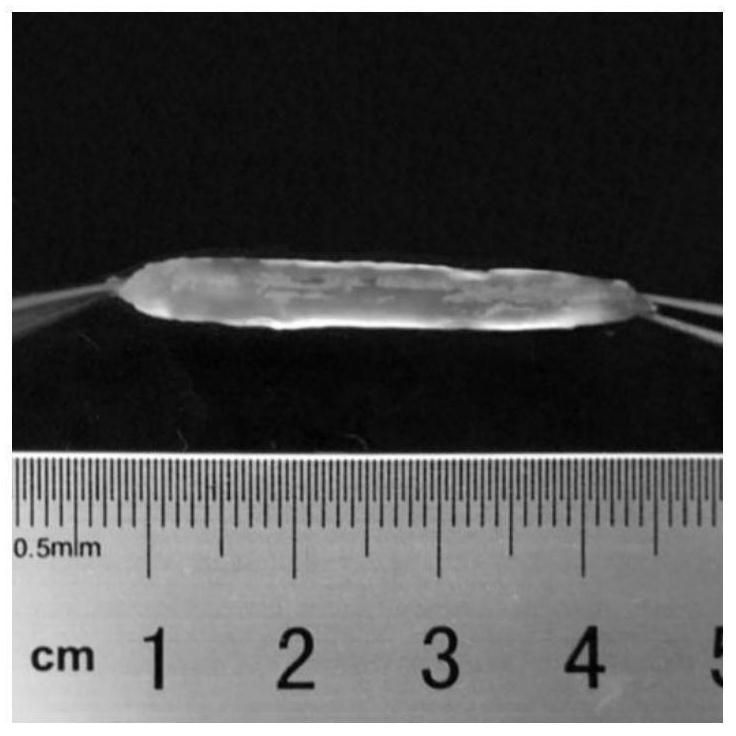 Directional fibrin and polypeptide interpenetrating network composite hydrogel for nerve regeneration and preparation method thereof